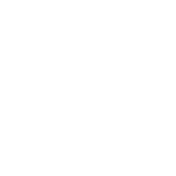 Phone icon in white